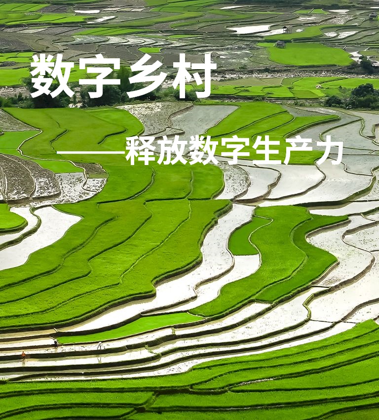 釋放數(shù)字生產(chǎn)力