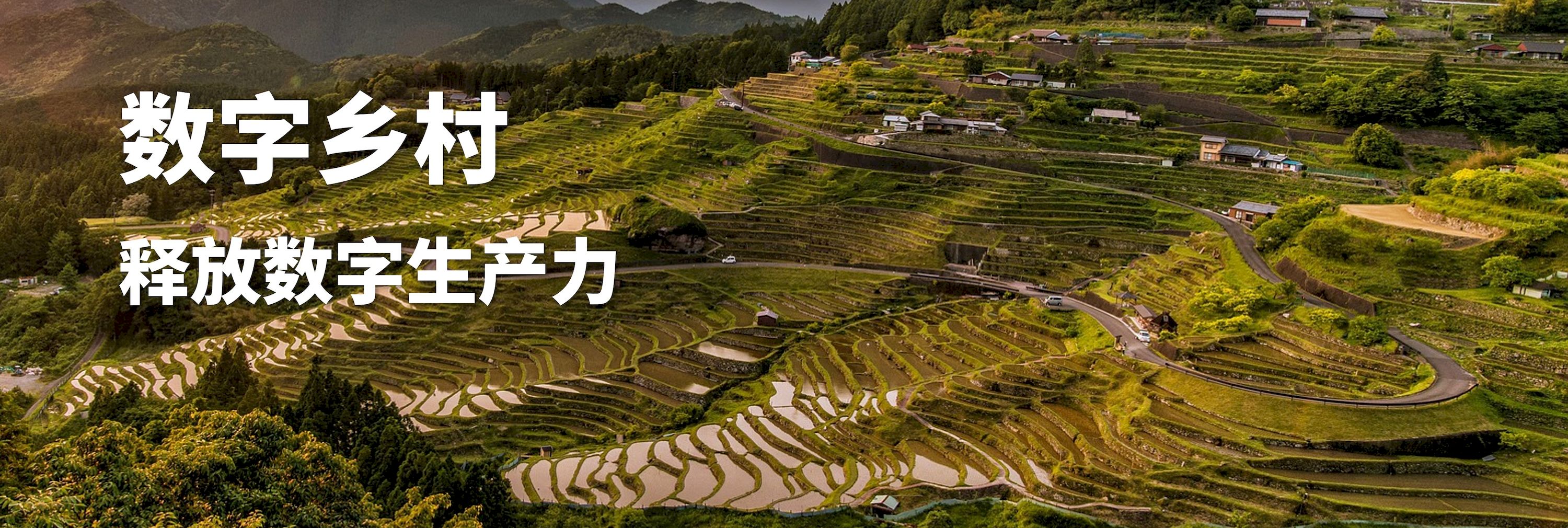 釋放數(shù)字生產(chǎn)力